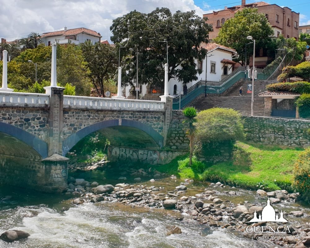 61763445_1844948952271343_1591374112897368064_n